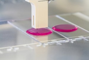 Biotinte - Gewebe und Organe aus dem Drucker